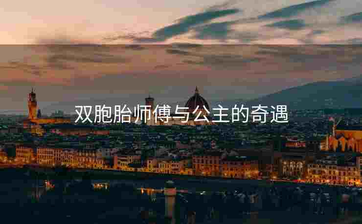 双胞胎师傅与公主的奇遇