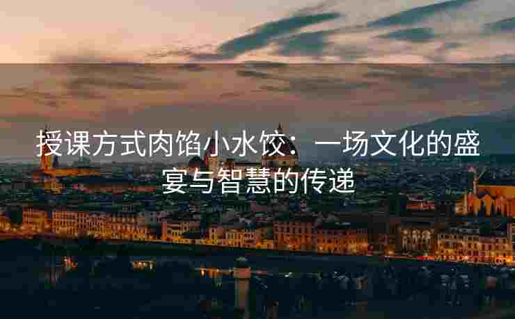 授课方式肉馅小水饺：一场文化的盛宴与智慧的传递
