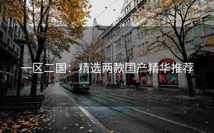 一区二国：精选两款国产精华推荐