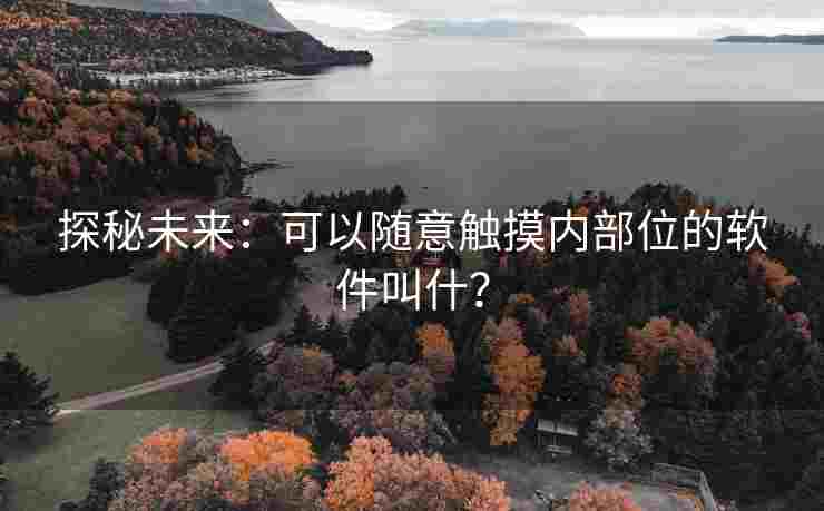 探秘未来：可以随意触摸内部位的软件叫什？