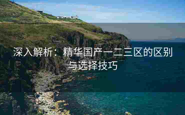 深入解析：精华国产一二三区的区别与选择技巧