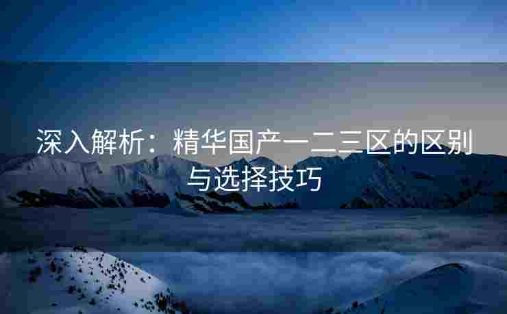 深入解析：精华国产一二三区的区别与选择技巧