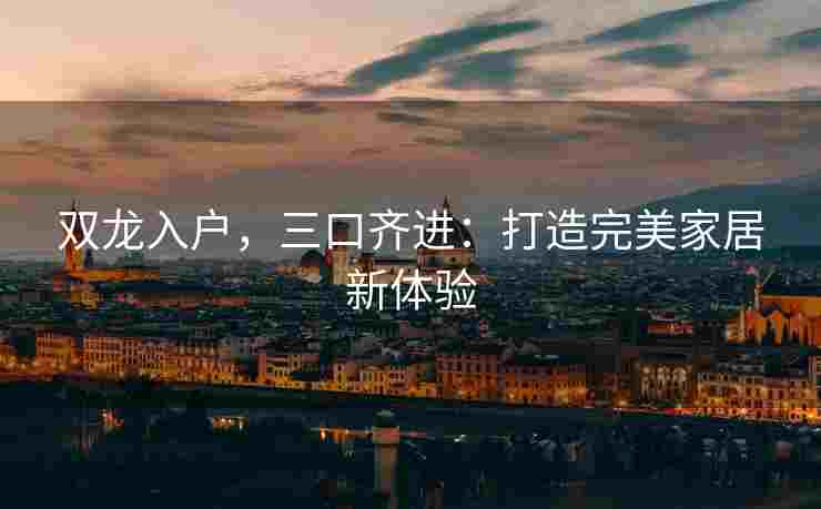 双龙入户，三口齐进：打造完美家居新体验