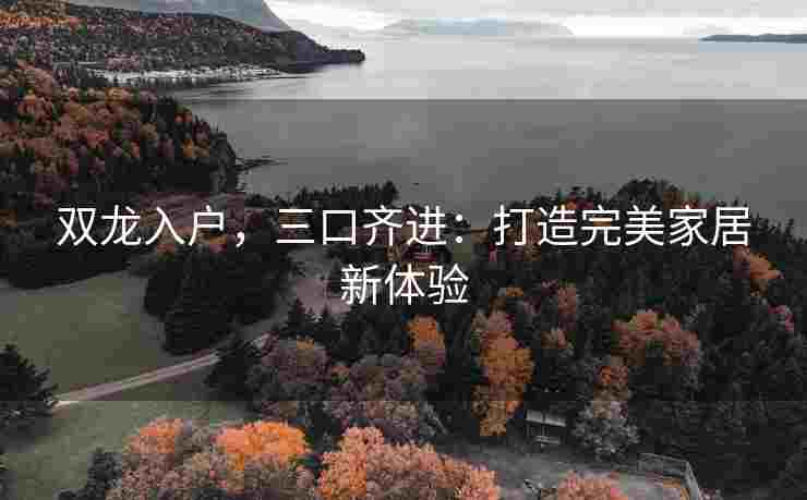 双龙入户，三口齐进：打造完美家居新体验