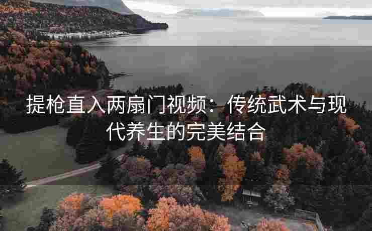 提枪直入两扇门视频：传统武术与现代养生的完美结合