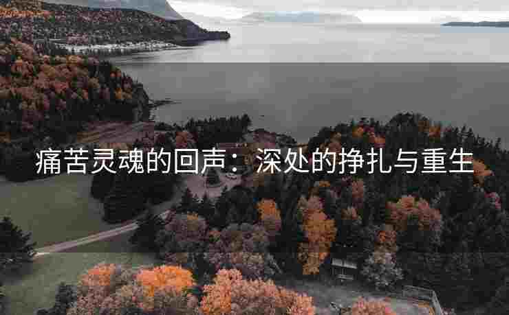 痛苦灵魂的回声：深处的挣扎与重生
