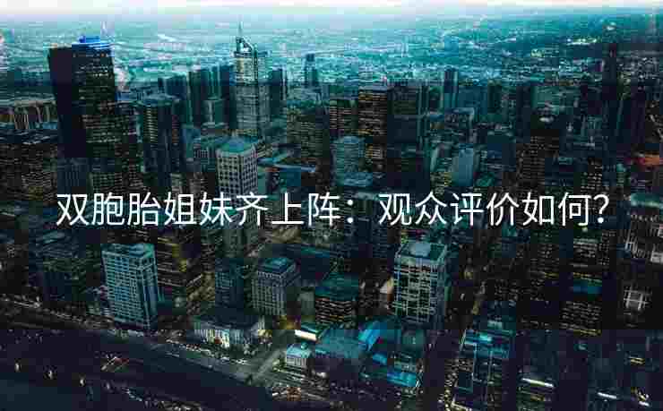双胞胎姐妹齐上阵：观众评价如何？